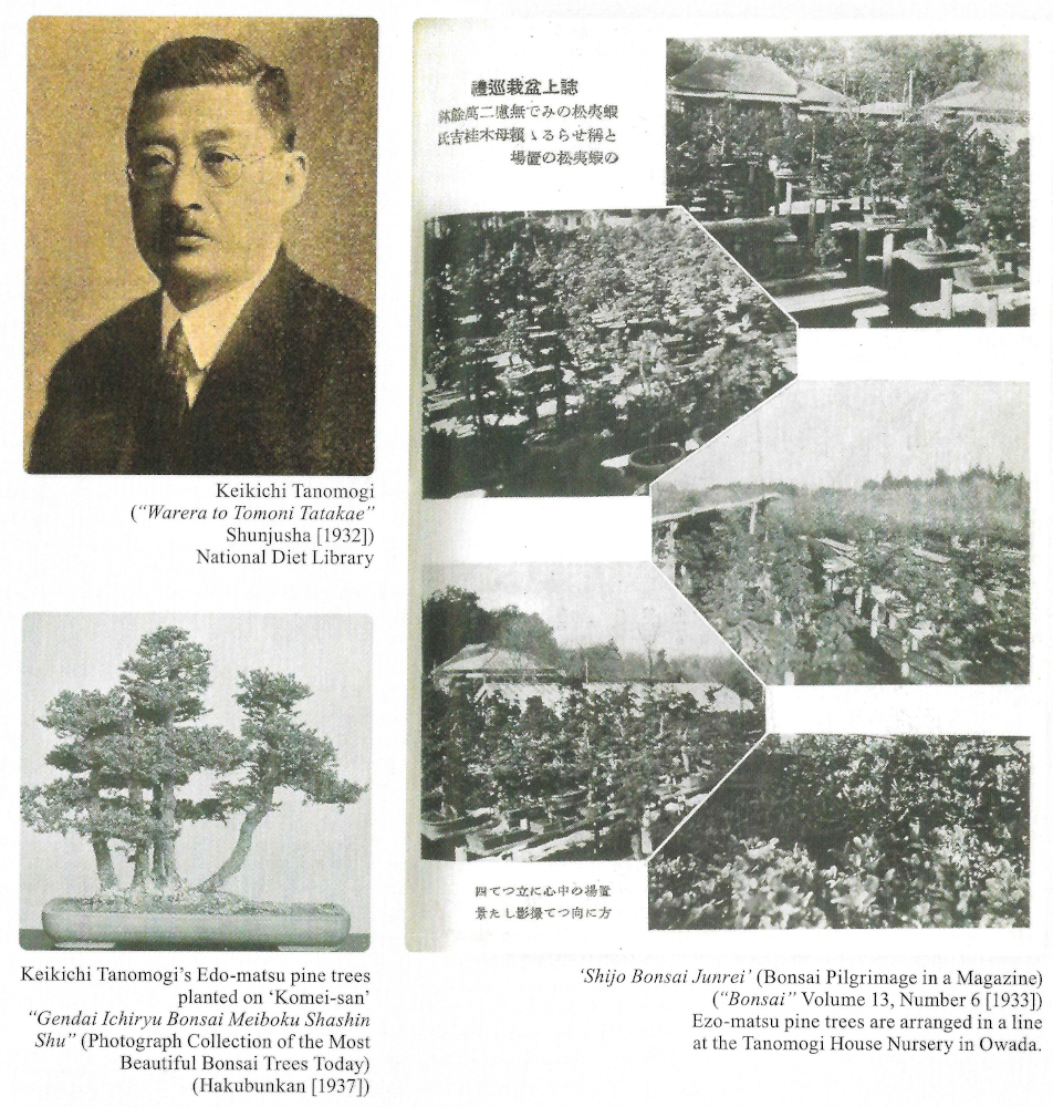 Keikichi Tanomogi, Omiya Bonsai Art Museum, Saitama, pg. 16